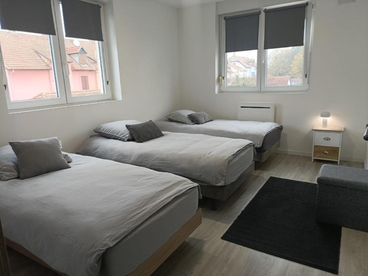 Appartement Entier F3 Renove - Petite Pause A Selestat Exterior photo